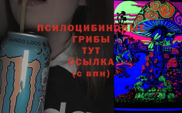 крисы Алзамай