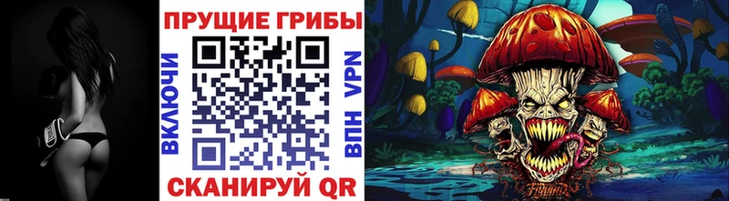 мега ссылки  Алексеевка  Псилоцибиновые грибы Cubensis 
