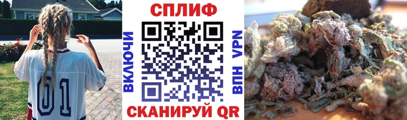 Шишки марихуана план Алексеевка